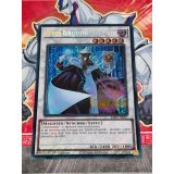 HYPER BIBLIOTHECAIRE T.G. ( RA02-FR027 ) SECRET RARE