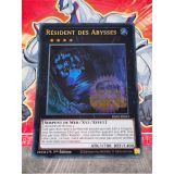 RESIDENT DES ABYSSES ( RA02-FR033 ) ULTRA RARE