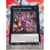 TRAPTRIX RAFFLESIA ( RA02-FR043 ) SUPER RARE